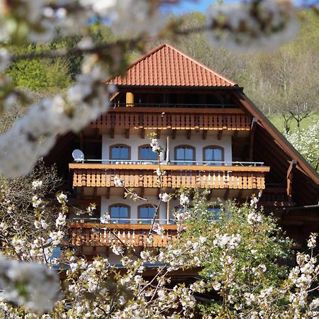 Kurparkhotel Faisst Bad Peterstal-Griesbach Exteriér fotografie