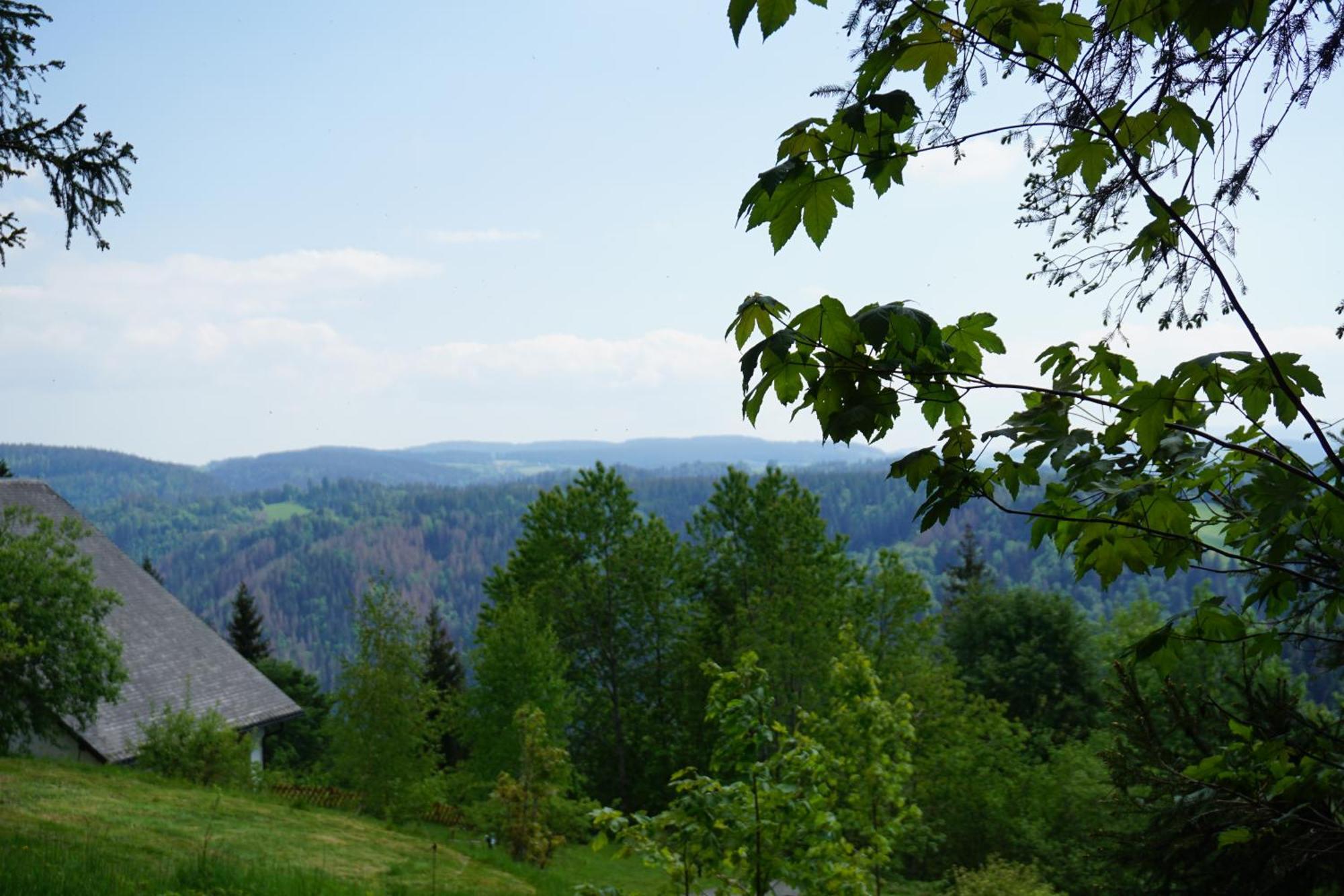 Kurparkhotel Faisst Bad Peterstal-Griesbach Exteriér fotografie