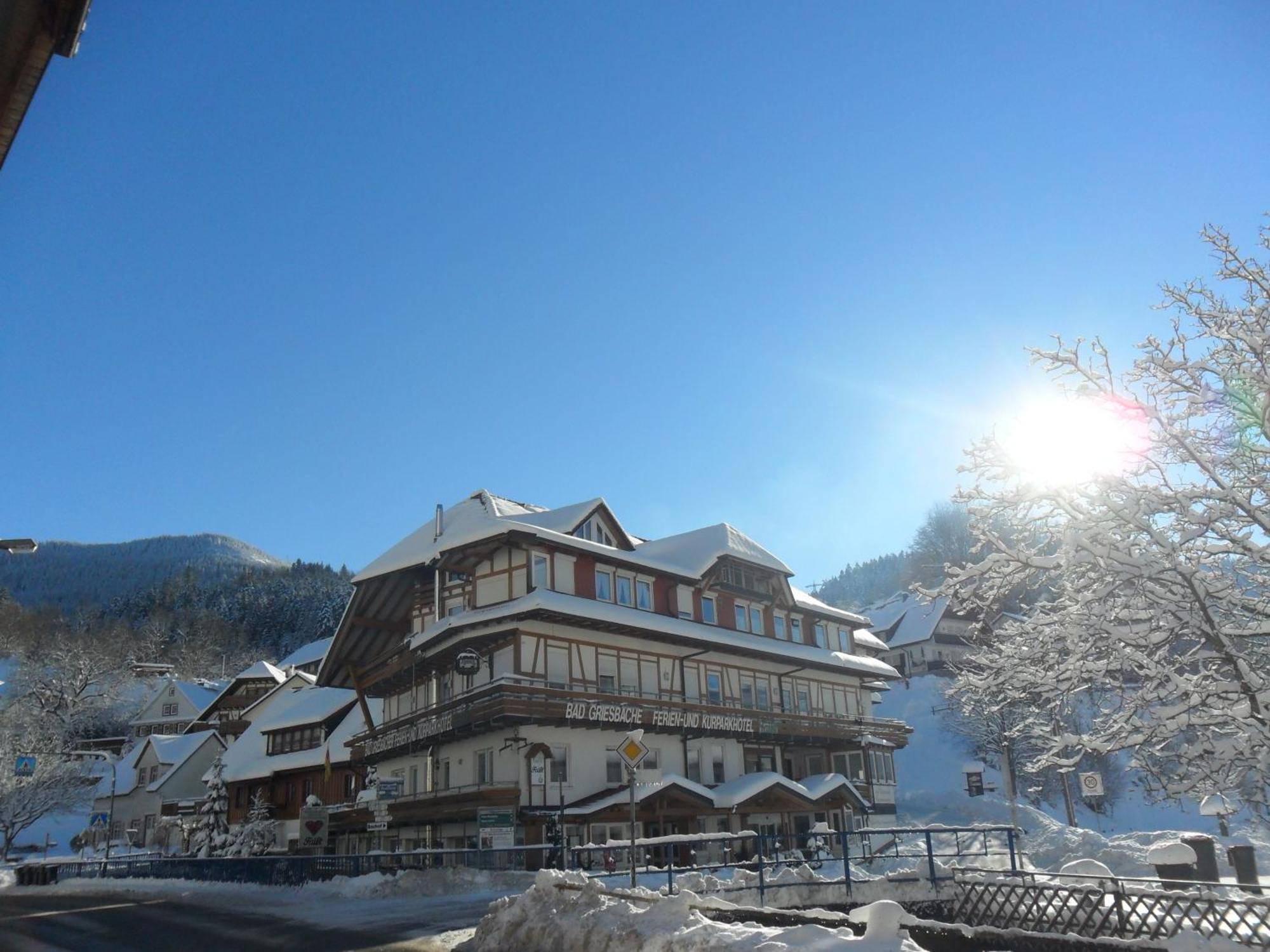 Kurparkhotel Faisst Bad Peterstal-Griesbach Exteriér fotografie