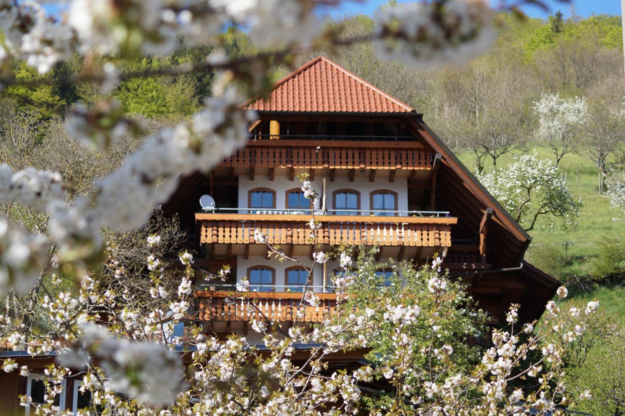 Kurparkhotel Faisst Bad Peterstal-Griesbach Exteriér fotografie