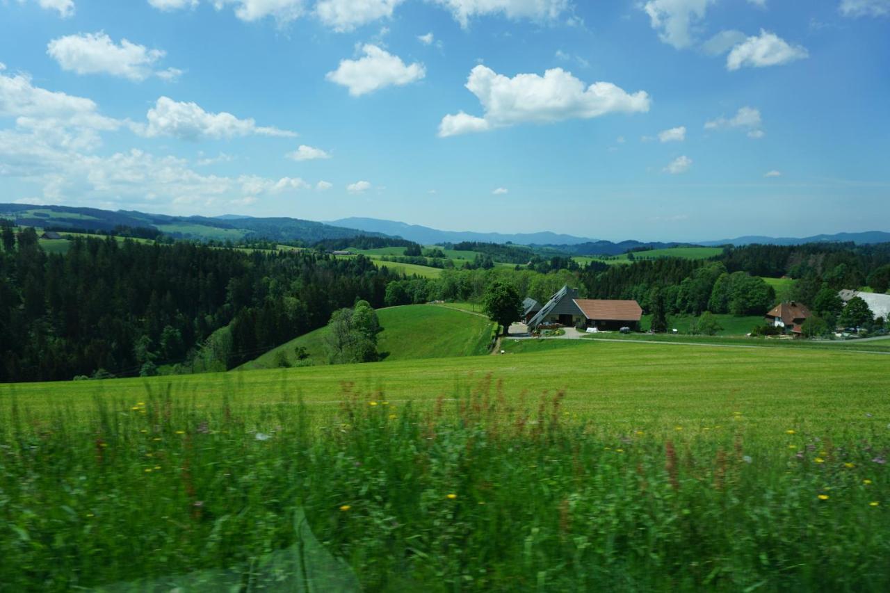 Kurparkhotel Faisst Bad Peterstal-Griesbach Exteriér fotografie