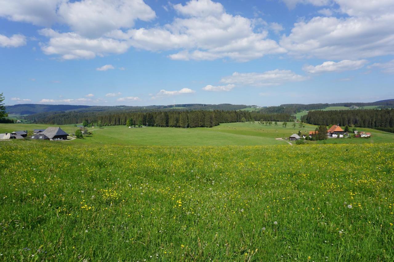 Kurparkhotel Faisst Bad Peterstal-Griesbach Exteriér fotografie